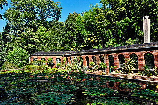 植物园,别墅,韦尔巴尼亚,马焦雷湖,意大利,欧洲