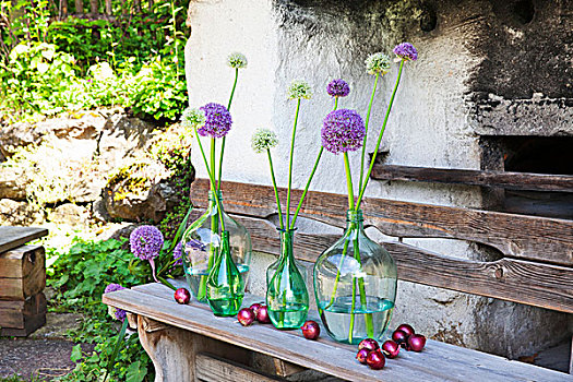 葱属植物,玻璃瓶,红洋葱,乡村,长木凳