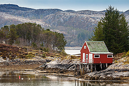 红色,木屋,站立,海岸,挪威