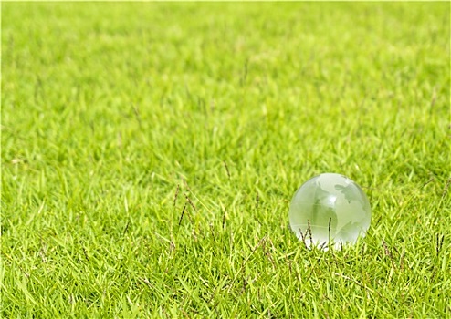 玻璃,地球,草,概念,环境,环境保护