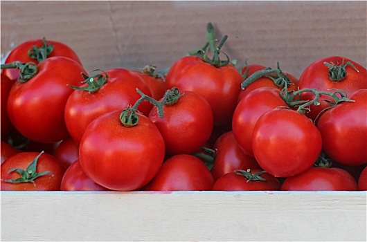 西红柿,板条箱