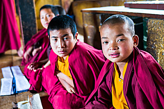 群体,年轻,和尚,学习,不丹