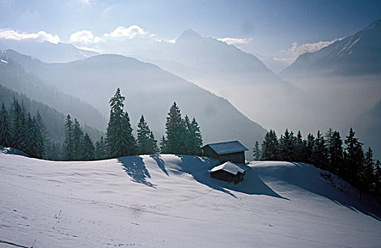 雪景