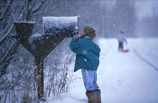 孩子,检查,邮件,雪中,风暴,冬天