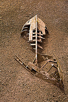 船,骨骼,一半,掩埋,沙子