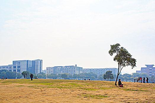 宁波大学,大学,学府,教育