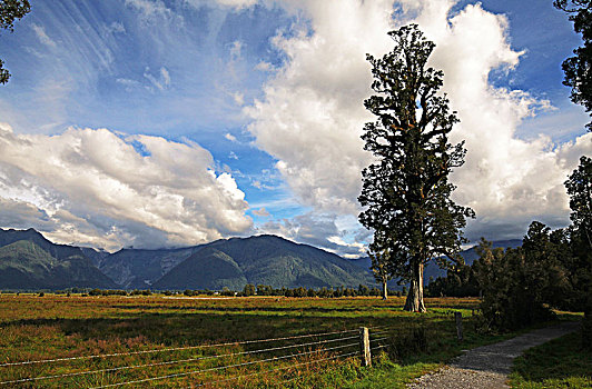 马瑟森湖lake,matheson