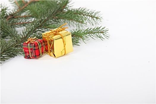 枝条,圣诞树,装饰