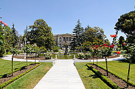 天鹅,喷泉,公园,宫殿,伊斯坦布尔,土耳其,欧洲