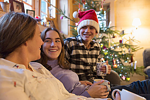 家庭,放松,圣诞节,客厅
