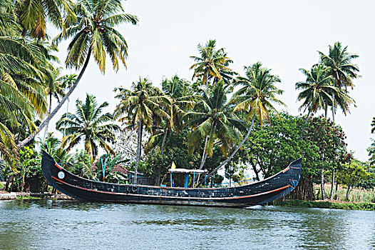 船,泻湖,地区,喀拉拉,印度