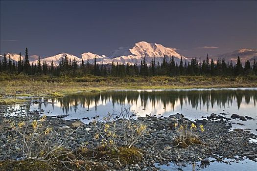 阿拉斯加山脉,北方,脸,反射,小,苔原,水塘,德纳里峰国家公园,阿拉斯加,秋天,2008年