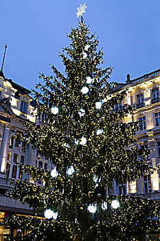 圣诞树,正面,酒店,卡罗维瓦里,地区,捷克共和国,欧洲