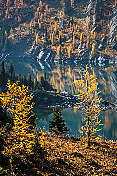 灰熊湖,在秋天,阳光牧场,省立公园,英属哥伦比亚大学,加拿大
