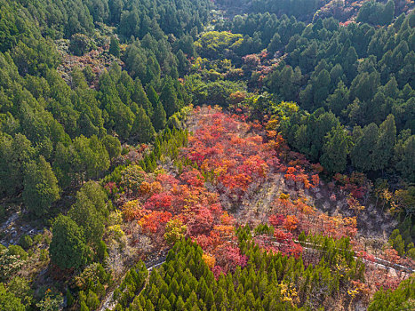 济南扁石山山体公园秋色