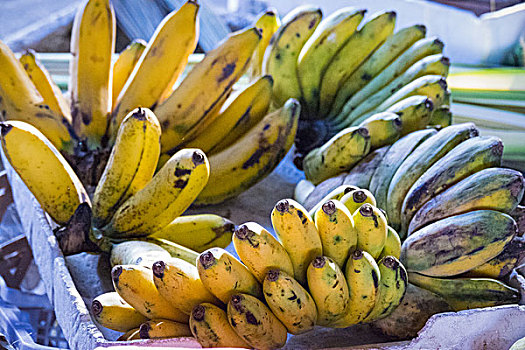 香蕉,乌布,巴厘岛,印度尼西亚