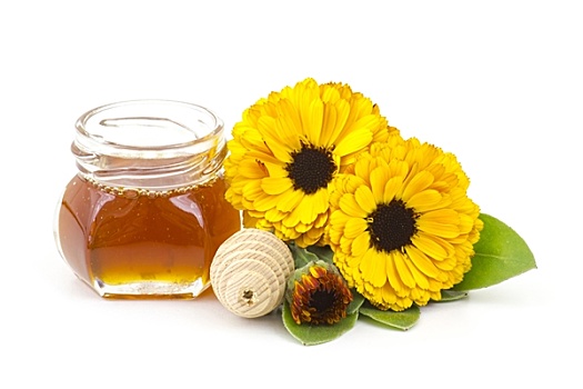 蜂蜜,金盏花,花,白色背景,背景
