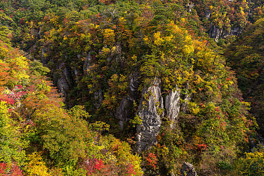 秋天,峡谷