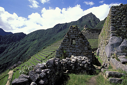 秘鲁,圣谷,马丘比丘,梯田,背景