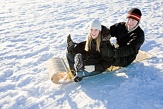 伴侣,骑,雪橇,雪地,艾伯塔省,加拿大
