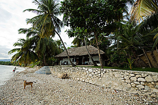 haiti,jacmel,residential,beach,house,surrounded,by,palm,trees