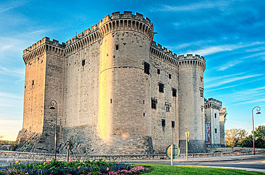 Camarque, France