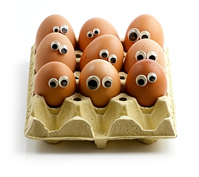 蛋,观众