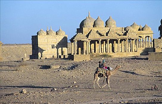 印度,拉贾斯坦邦,耆那教,庙宇,骆驼,走,骑手,石头,建筑,背景