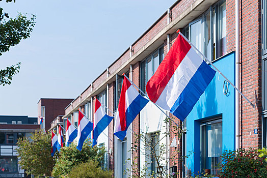 荷兰,旗帜,街道
