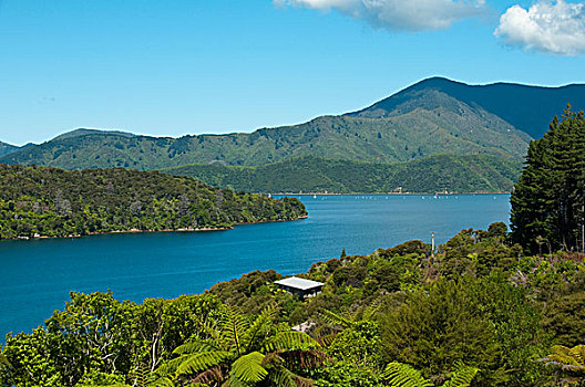 新西兰,南岛,景色,风景,胜地,住宿,郊区,皮克顿