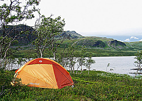 帐蓬,靠近,湖,瑞典
