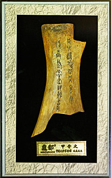 中国最早的文字,甲骨文