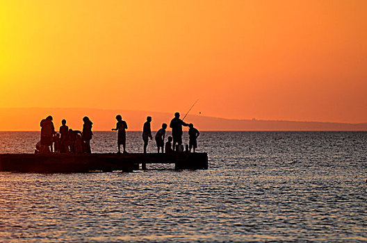 人,捕鱼,码头,日落,澳大利亚
