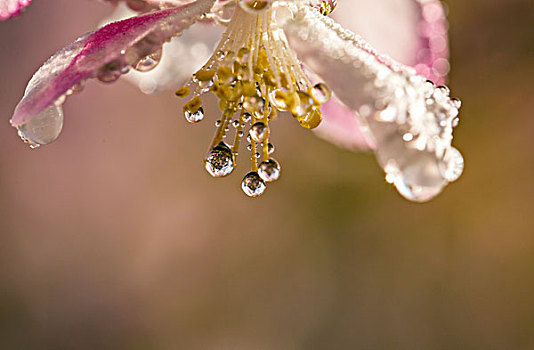 水点