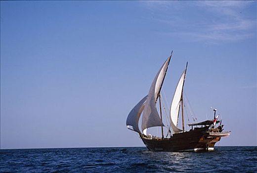 传统,独桅三角帆船,输入,印度洋,航行,海岸,阿曼