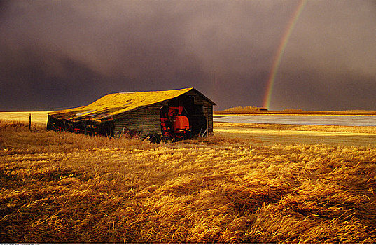 小屋,草原,彩虹