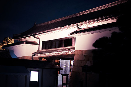 世界文化遗产日本京都二条城夜景及灯光秀