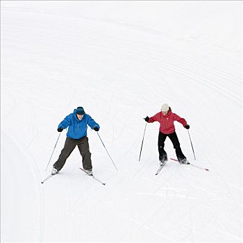 俯视,伴侣,越野滑雪,不列颠哥伦比亚省,加拿大