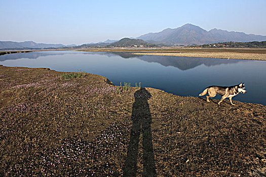 太平湖湿地