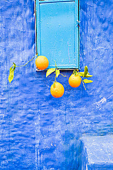 摩洛哥,舍夫沙万,沙温,小,狭窄,街道,涂绘,品种,鲜明,蓝色,彩色,果汁,销售,展示,橘子
