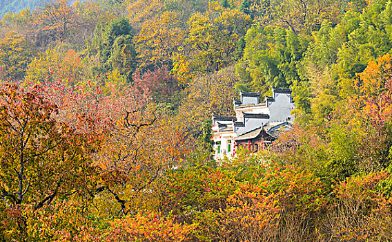 塔川秋景