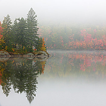 秋天,反射,湖,亮光,雾,萨德伯里,安大略省,加拿大