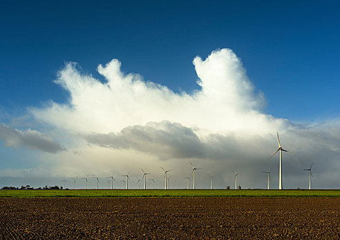 地点,风景,巨大,积雨云,上方,现代,风电场,北方,荷兰