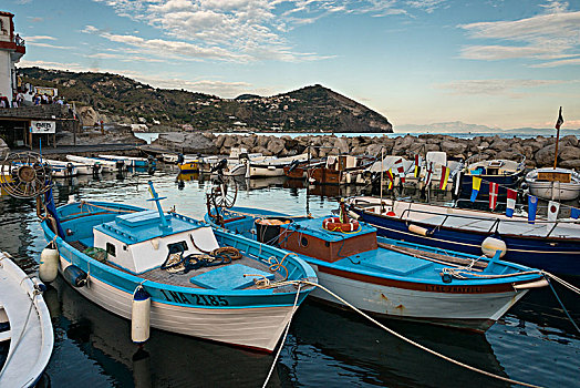 渔船,停泊,港口,伊斯基亚,岛屿,坎帕尼亚区,意大利