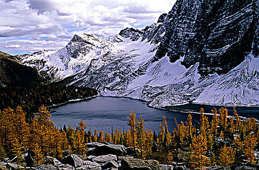 落叶松属植物,秋色,浮冰,湖,库特尼国家公园,不列颠哥伦比亚省,加拿大