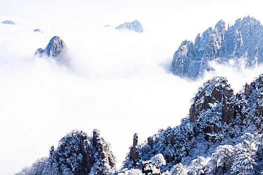 中国安徽黄山风景区,冬日雪后奇峰怪石林立,云雾飘渺宛若仙境