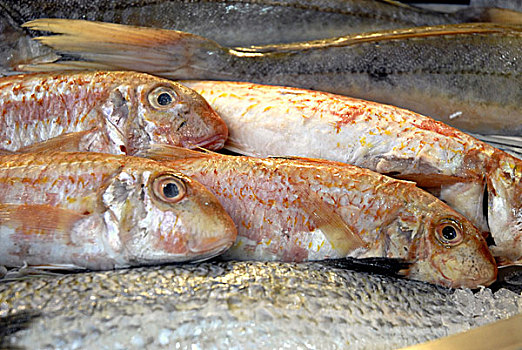 鱼,特色食品,好,食物,2008年,奥林匹亚
