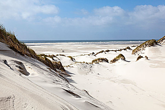 沙丘,安洪姆,波罗的海,海岸