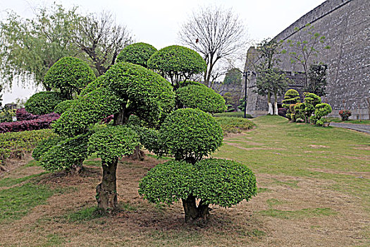 岳阳楼