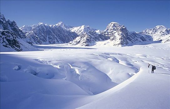 两个,攀登者,冰河,麦金立山,高耸,高处,德纳利国家公园和自然保护区,阿拉斯加